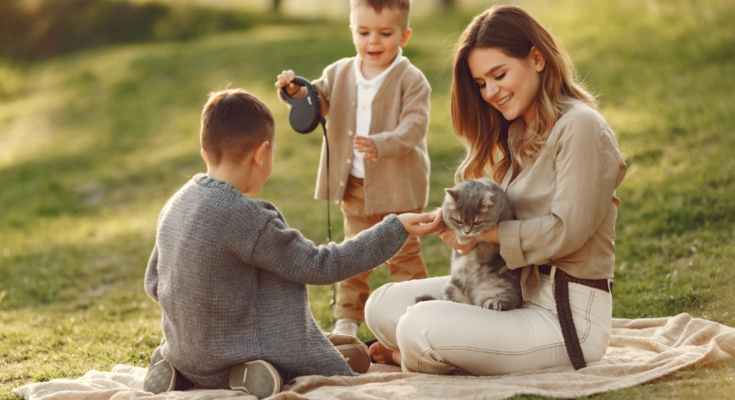 Gatos en la familia